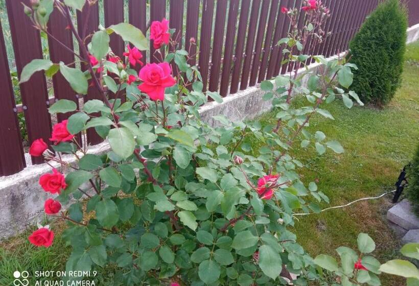 تختخواب و صبحانه Casa Luca