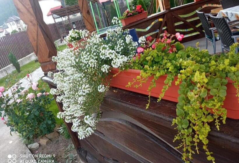 تختخواب و صبحانه Casa Luca