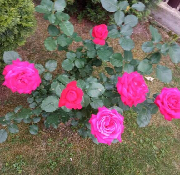 تختخواب و صبحانه Casa Luca