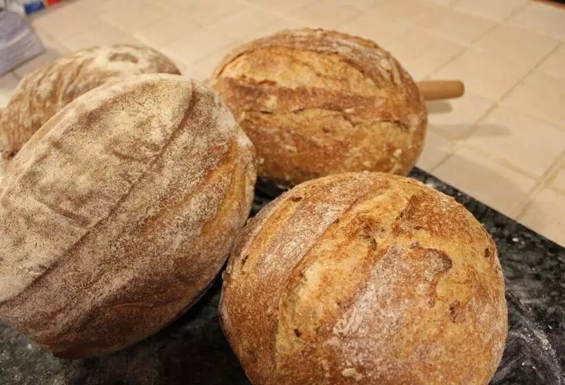 Ecolodge Selvitelle   Disconnect And Re Connect With Nature