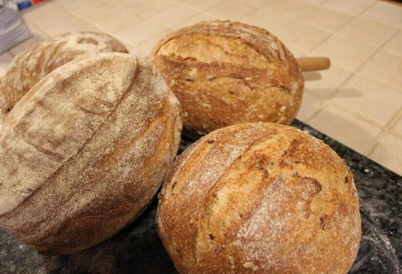 Ecolodge Selvitelle   Disconnect And Re Connect With Nature