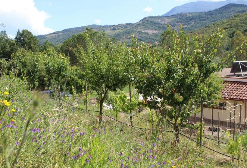 Ecolodge Selvitelle   Disconnect And Re Connect With Nature