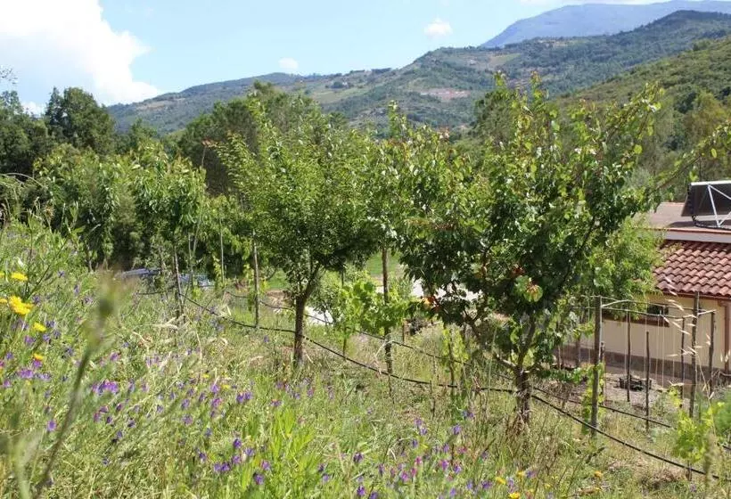 Ecolodge Selvitelle   Disconnect And Re Connect With Nature