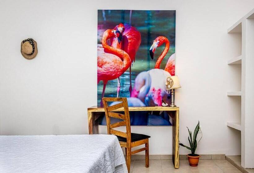 Oceanfront Casita Coral