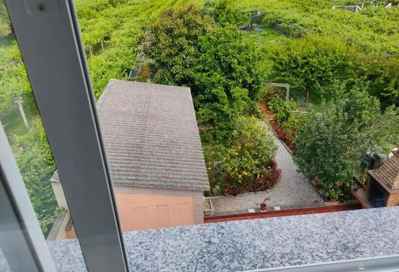 A Grenla Entre Viñedos