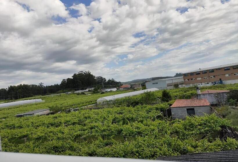 A Grenla Entre Viñedos