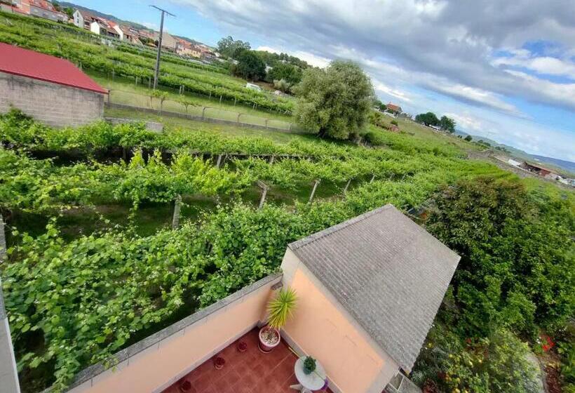 A Grenla Entre Viñedos