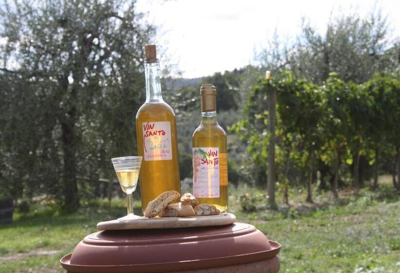 펜션 Agriturismo Podere Somigli Di Lorenzo Correani