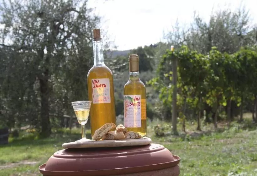 ペンション Agriturismo Podere Somigli Di Lorenzo Correani