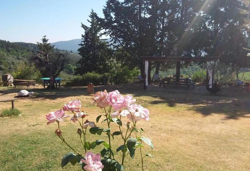 펜션 Agriturismo Podere Somigli Di Lorenzo Correani