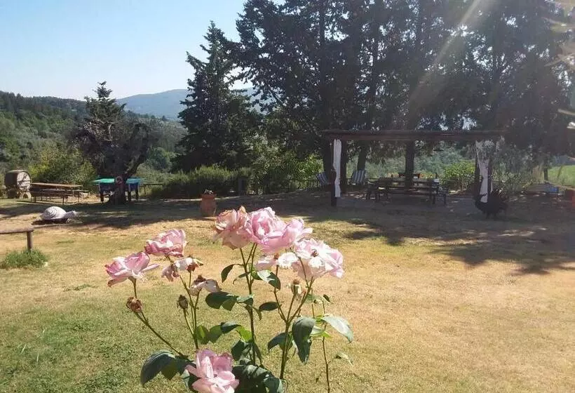 ペンション Agriturismo Podere Somigli Di Lorenzo Correani