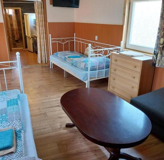 ペンション Penzion U šmídů Náměstí