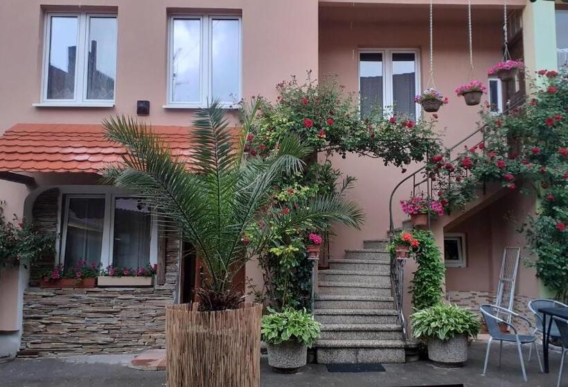 ペンション Penzion U šmídů Náměstí