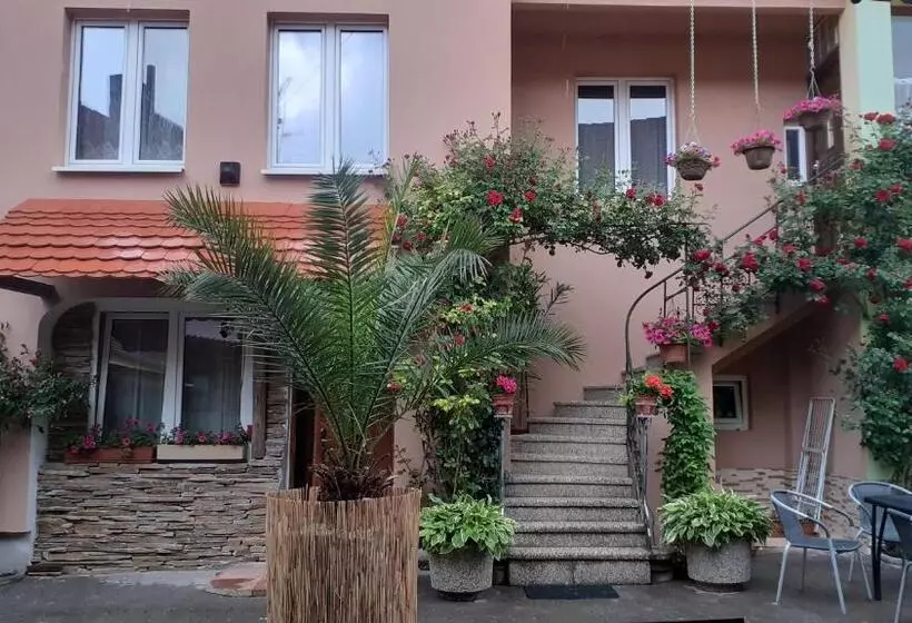 ペンション Penzion U šmídů Náměstí