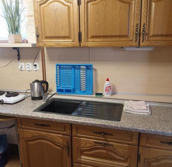 ペンション Penzion U šmídů Náměstí