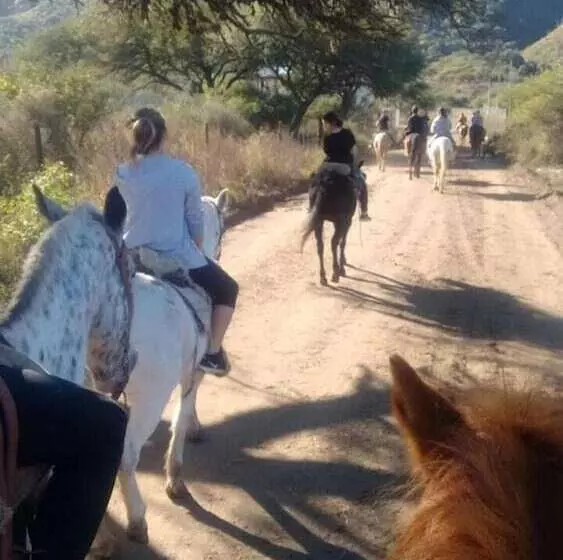 Hostel Joven Casa Reggae