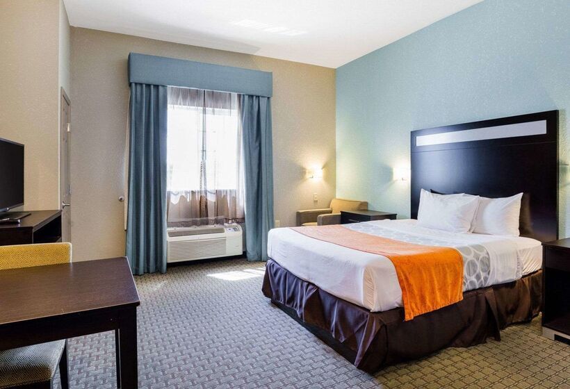 Otel Hallmarc Studios