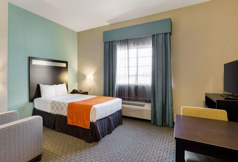 Otel Hallmarc Studios