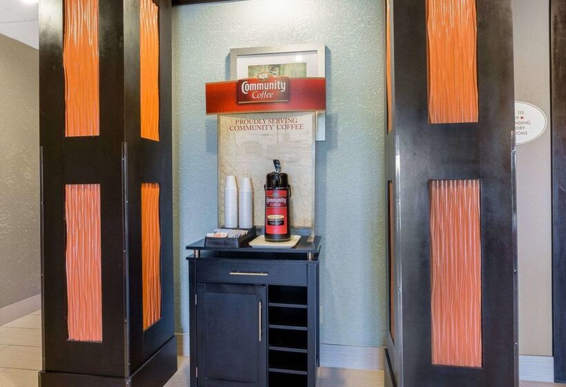 Otel Hallmarc Studios