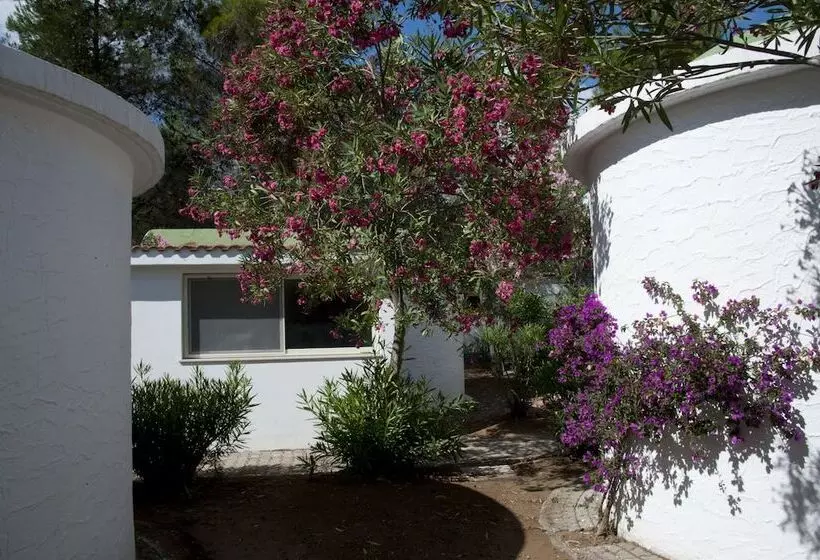 هتل Villaggio Capo Vieste Camping