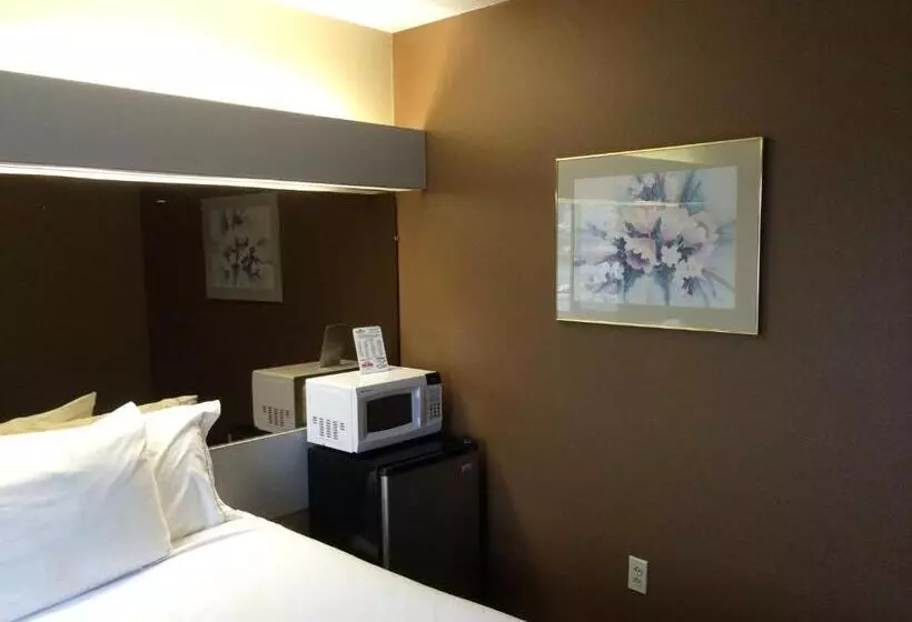 Motel Baymont By Wyndham Henrietta   Rochester