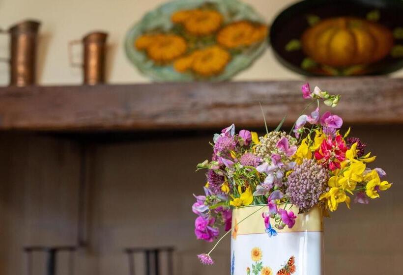 Appartamenti Le Ginestre 10