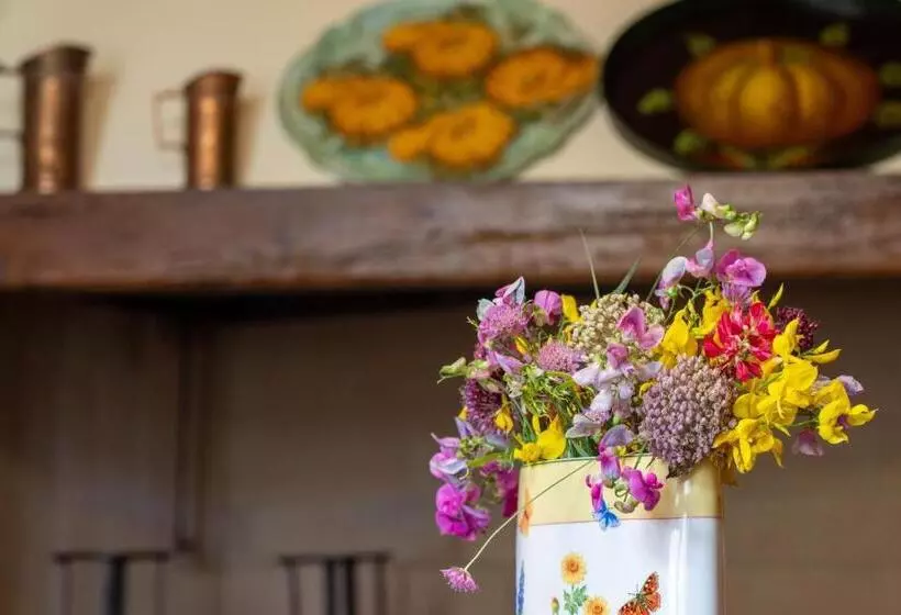 Appartamenti Le Ginestre 10