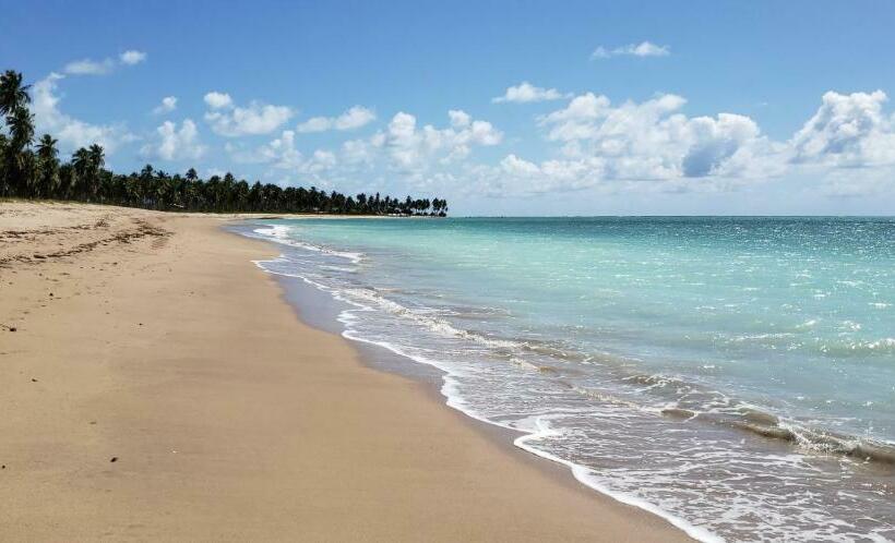 Arataba Hotel Boutique E Bistrô