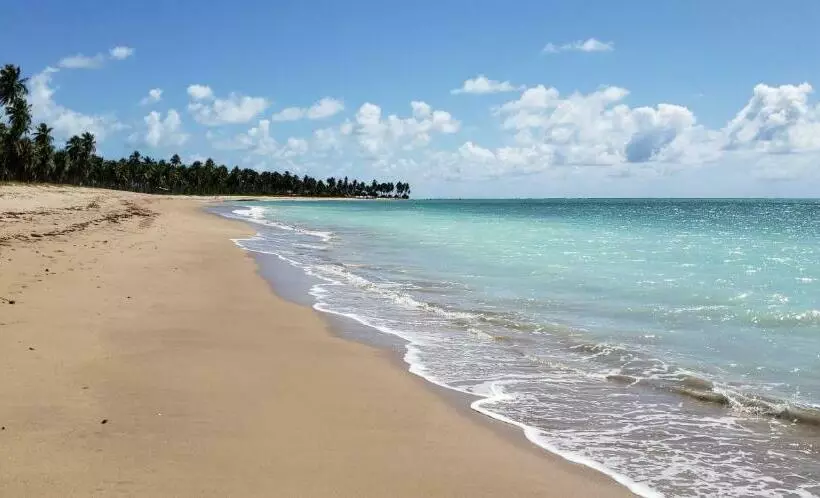 Arataba Hotel Boutique E Bistrô