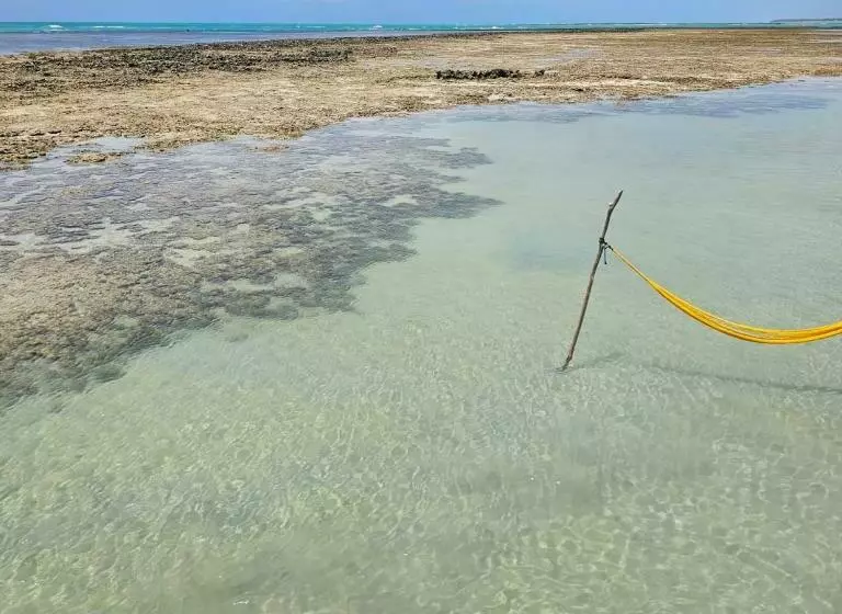 Arataba Hotel Boutique E Bistrô