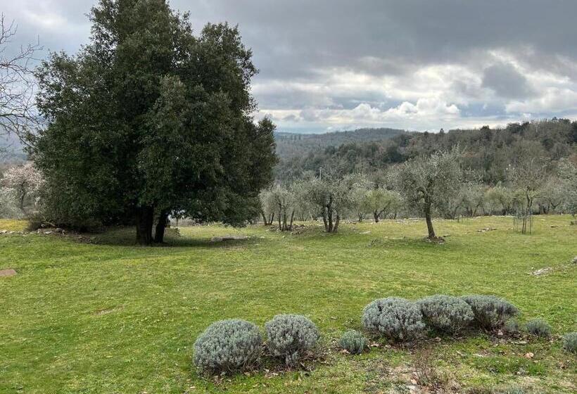 Casa Vanina Self Check In