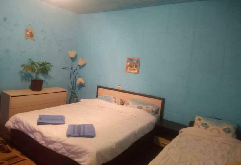 פנסיון стаи при бачо илия