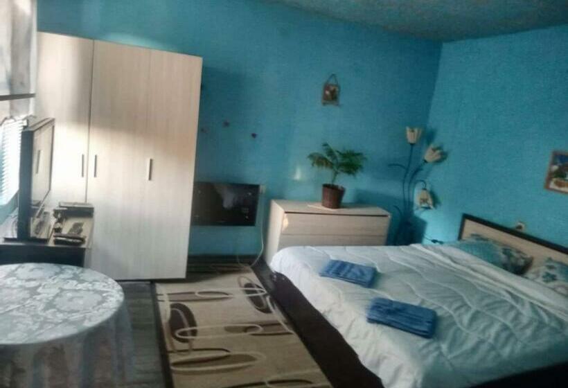 פנסיון стаи при бачо илия