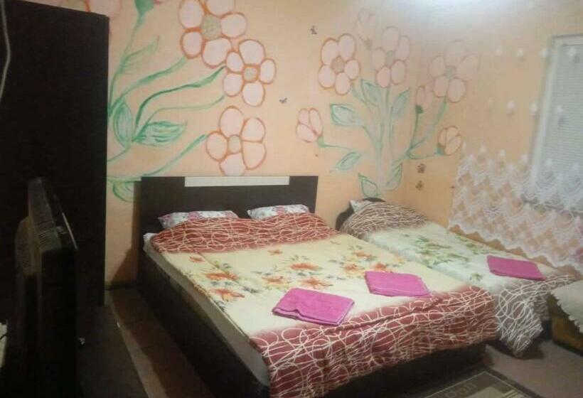 פנסיון стаи при бачо илия