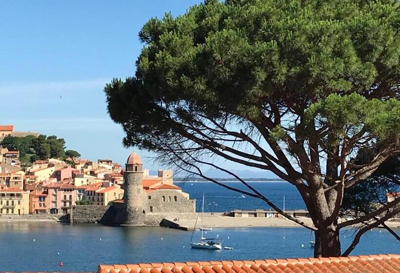 Appartement 3 Pièces Et Jardin