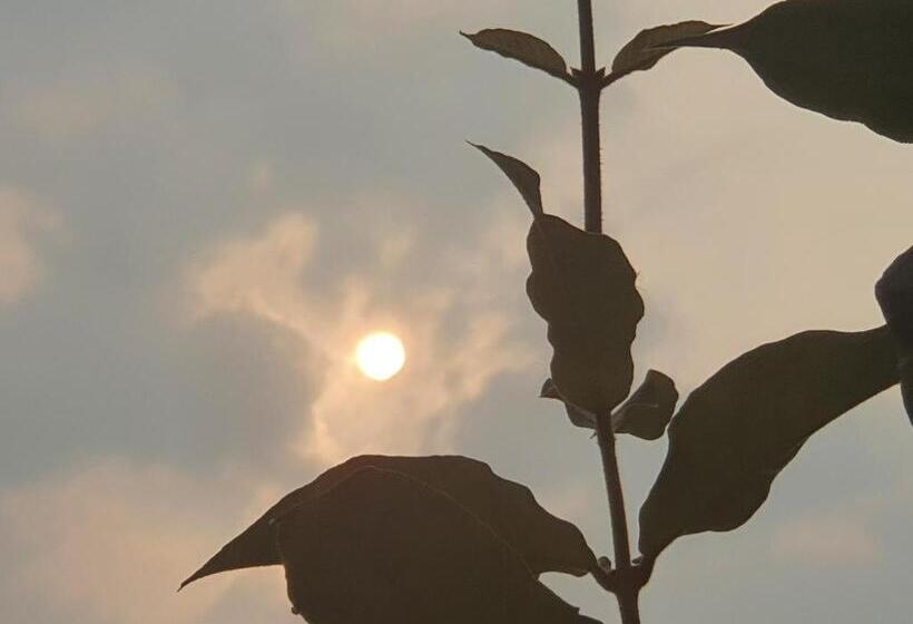 تختخواب و صبحانه Kinn Stay50 Bangkok