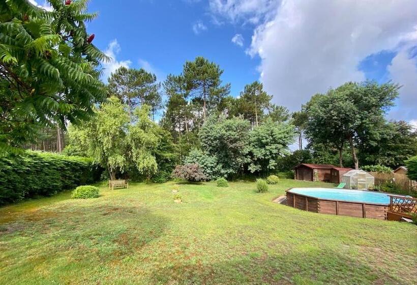 Charming Villa, Tranquillity By The Forest