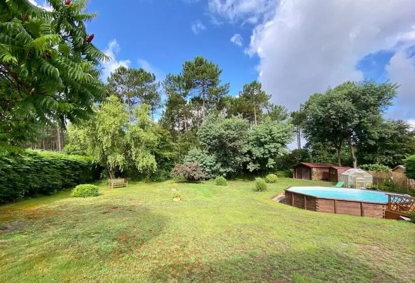 Charming Villa, Tranquillity By The Forest