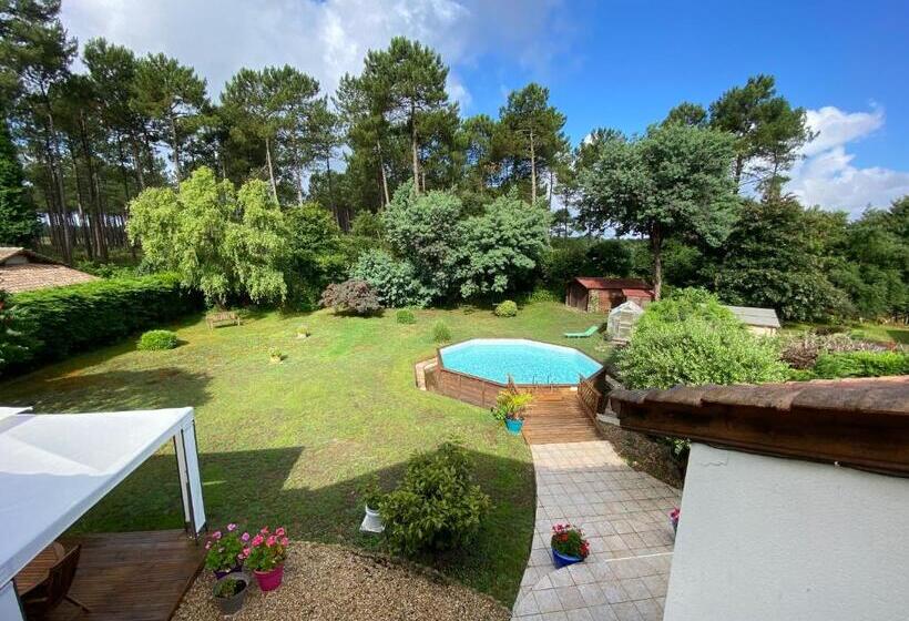 Charming Villa, Tranquillity By The Forest