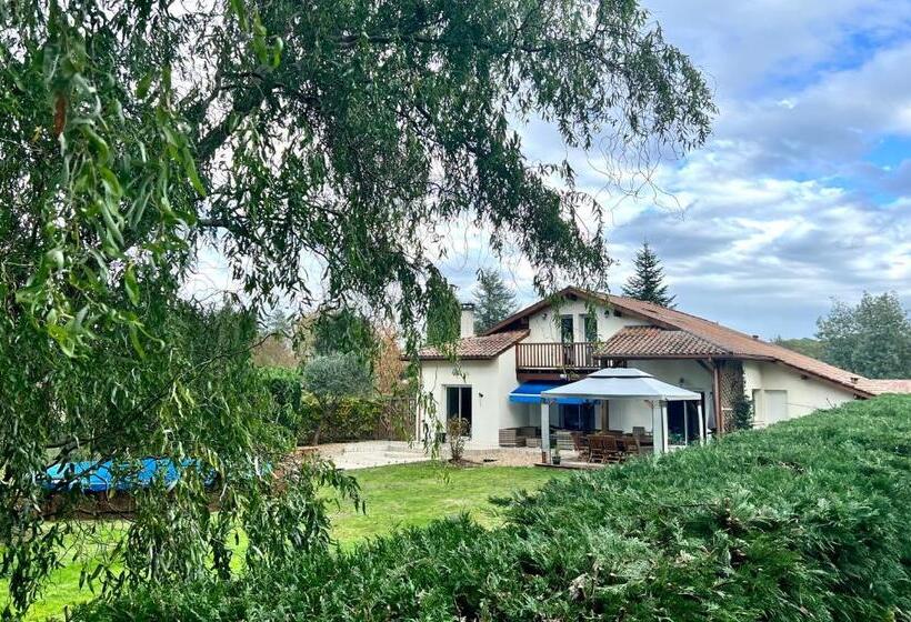 Charming Villa, Tranquillity By The Forest