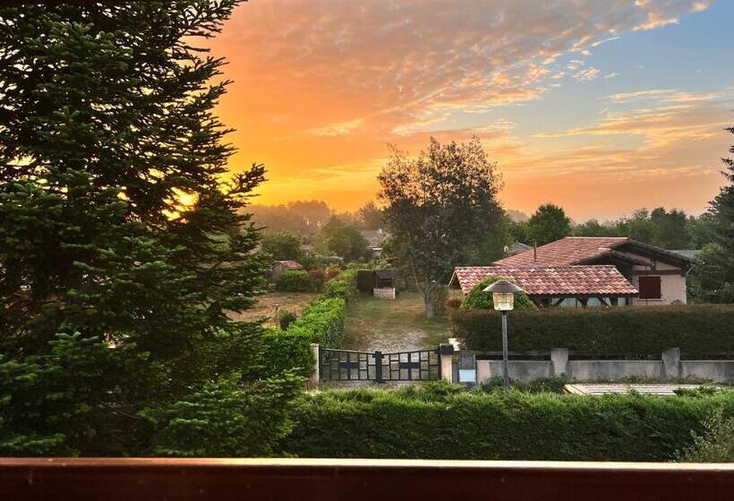 Charming Villa, Tranquillity By The Forest