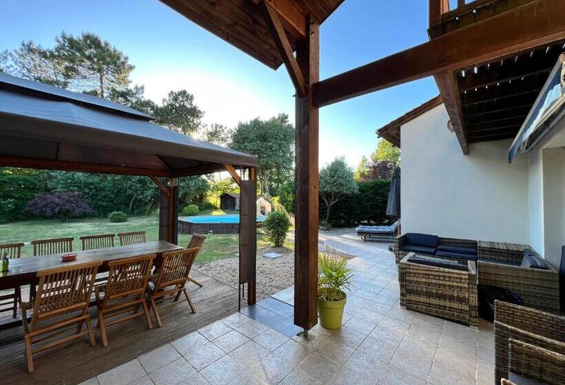 Charming Villa, Tranquillity By The Forest