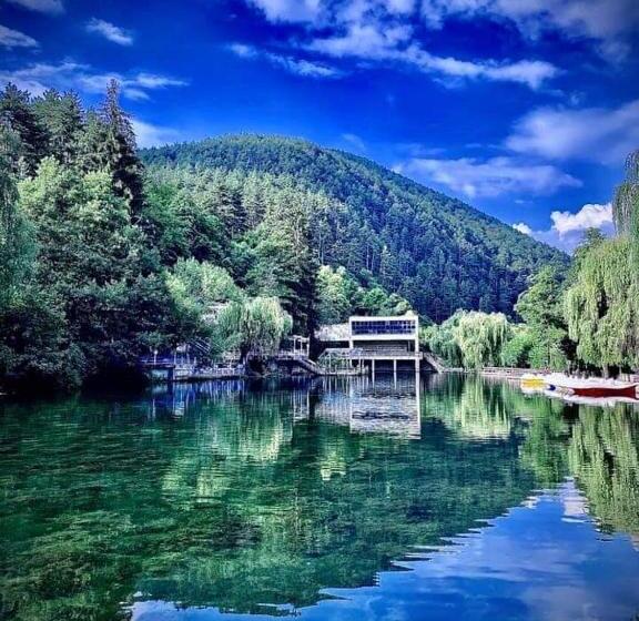 پانسیون къща за гости радина