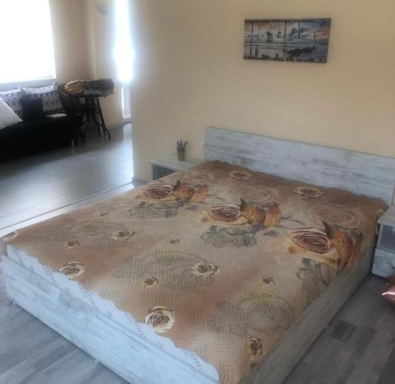 پانسیون къща за гости радина