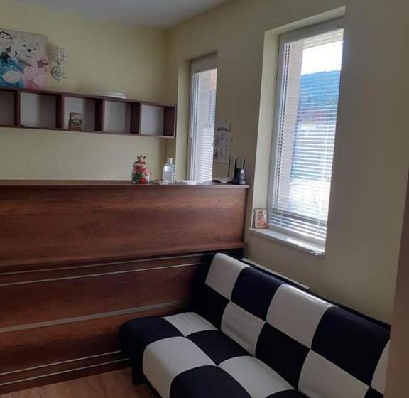 پانسیون къща за гости радина