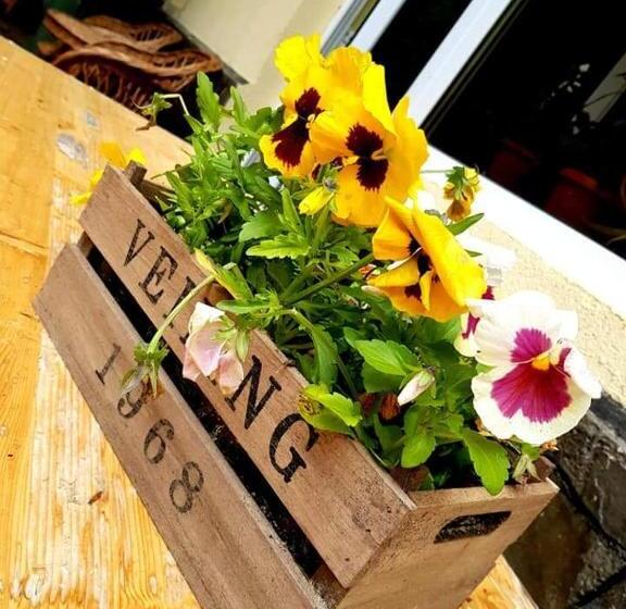 Pensiunea Don Sergio