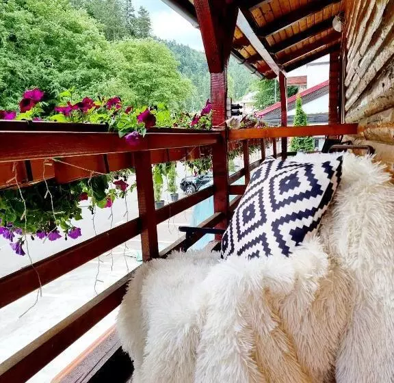 Pensiunea Don Sergio