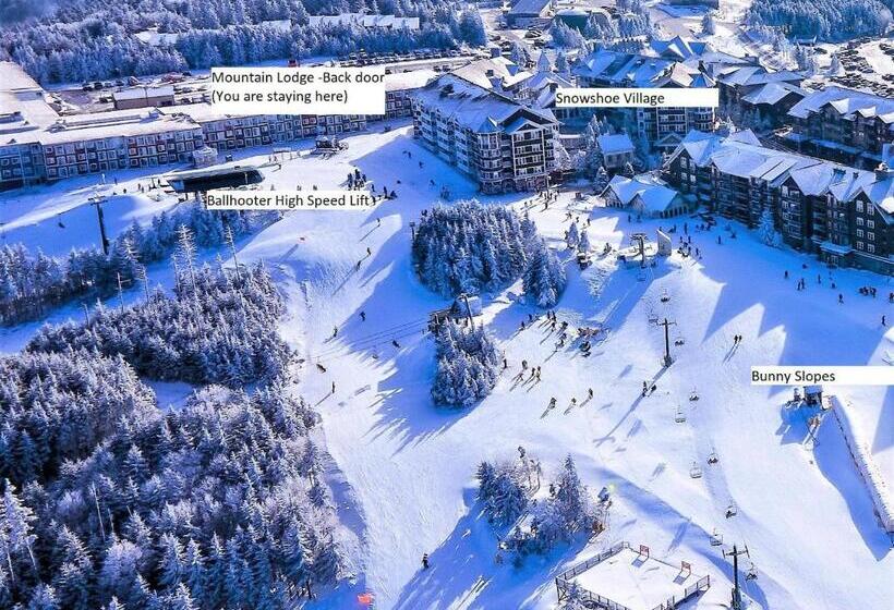 Stroll To Slopes, Village Area, Ski In Out Mtlodge 294