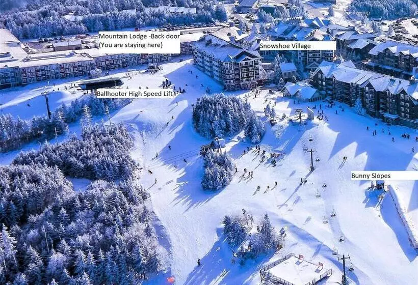 Stroll To Slopes, Village Area, Ski In Out Mtlodge 294