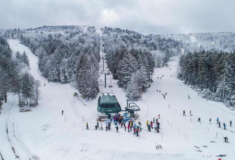 Stroll To Slopes, Village Area, Ski In Out Mtlodge 294